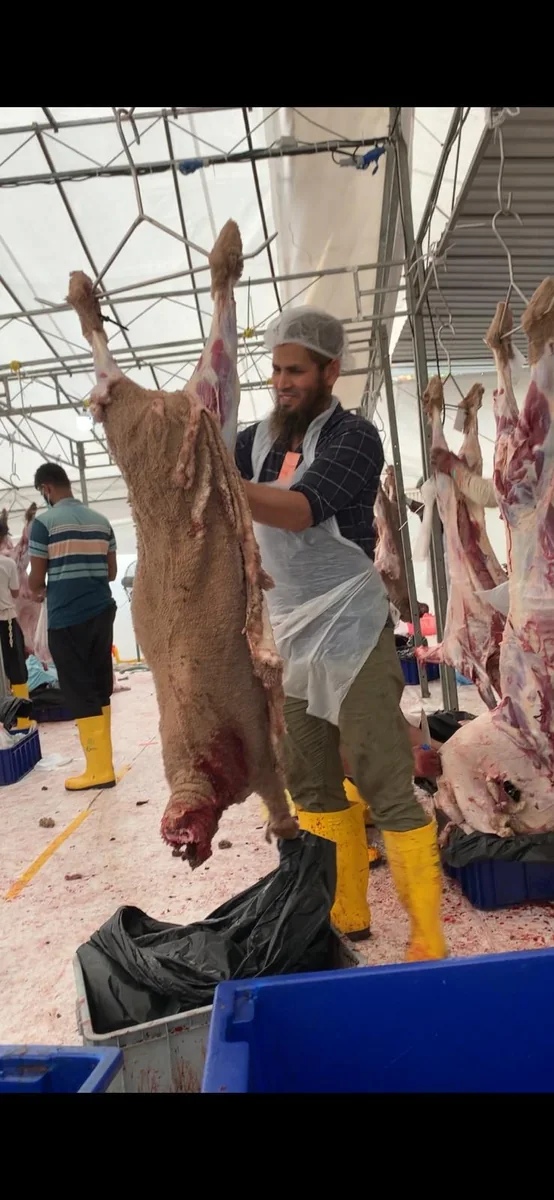 FOM Qurban service